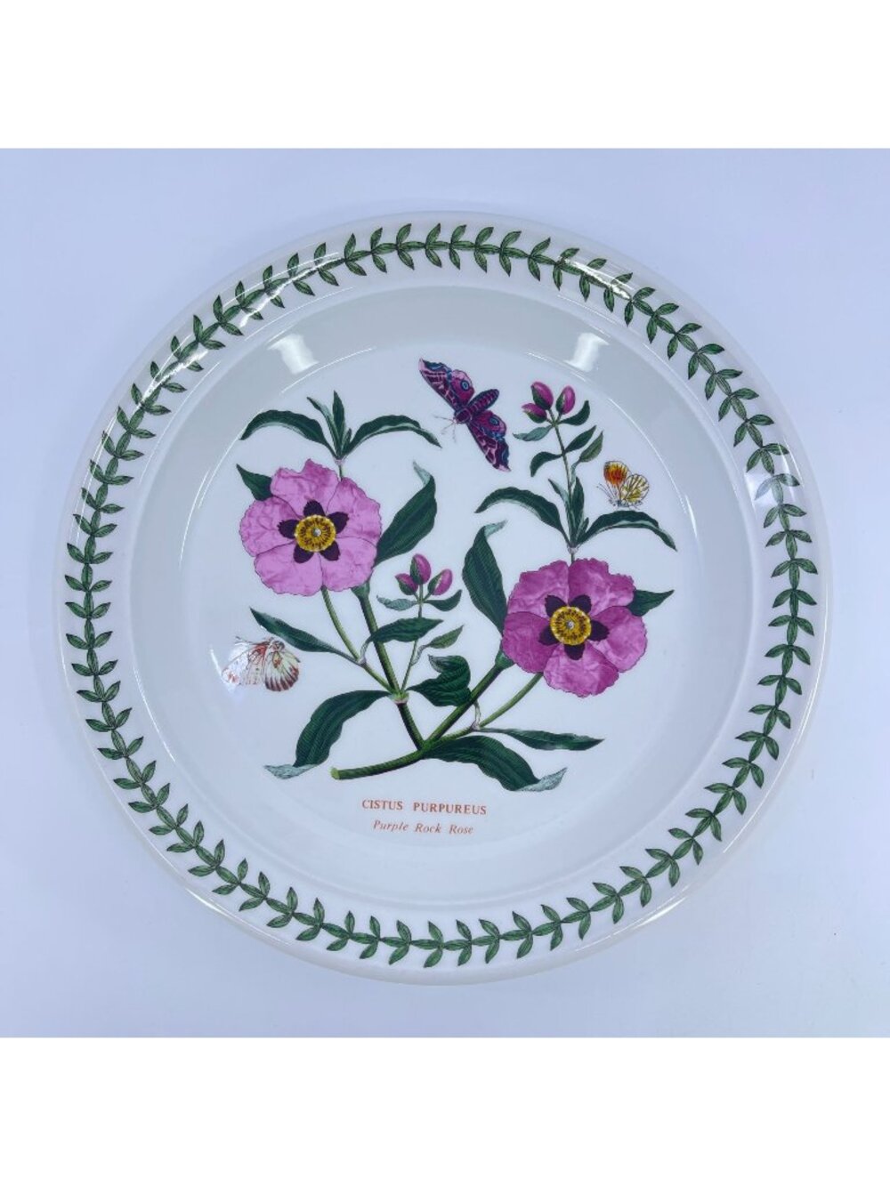 vintage portmeirion botanic garden purple rock rose salad plate 8 1/2"